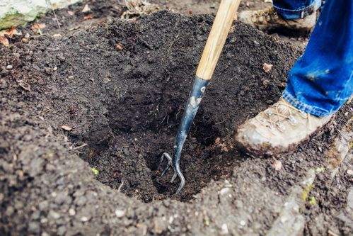 种植坑施肥技术 种植坑施肥技术视频