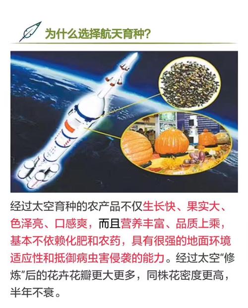 太空中种植技术 太空中种植技术有哪些