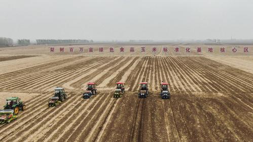 黑土地农业资讯（黑土地网上商城）