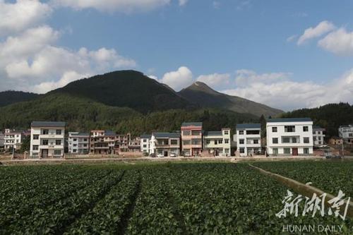 新田移民种植技术（新田移民种植技术有哪些）