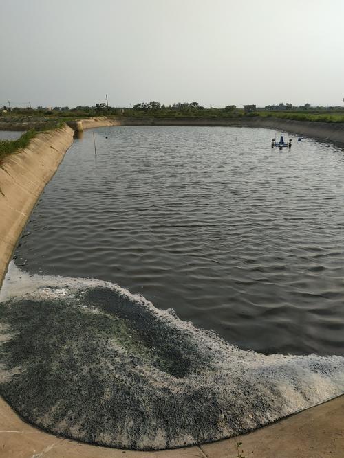 南浔水产养殖场转让信息（南浔水产养殖场转让信息网）