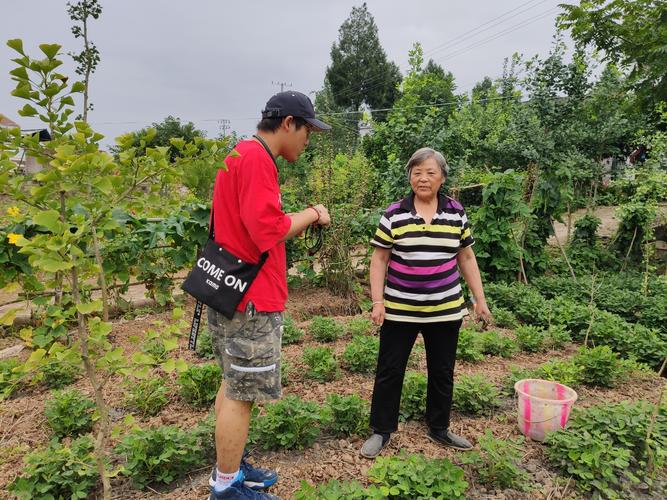 科技三下乡农业资讯（三下乡科技兴农活动报告）