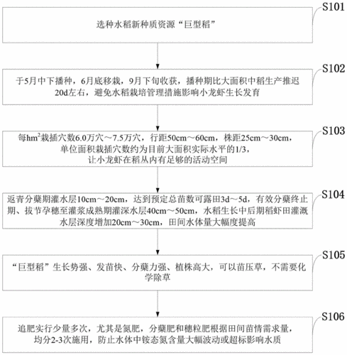 水稻种植和收割技术论文（关于水稻种植业的论文）