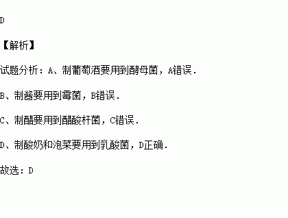 生活中与发酵技术有关产品（发酵技术与我们的生活息息相关）