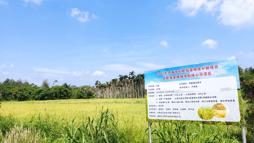 琼海农业资讯中心地址（2020年琼海市农业重点项目）