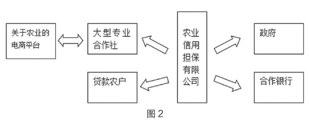 农业担保公司贴吧最新资讯（农业担保公司担保流程）