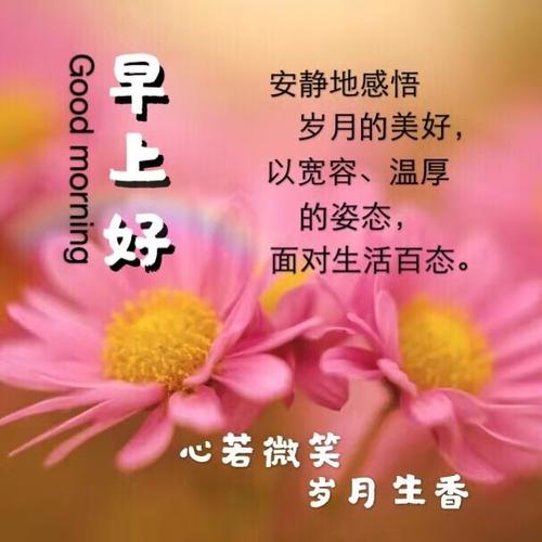 富美生活百科早上好（早上好一一十五集_美篇）