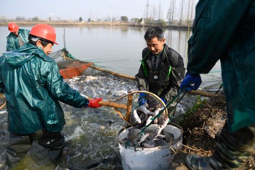 湖州养殖场招聘信息最新（湖州水产养殖招聘）