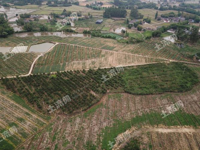 成都种植养殖转让信息平台（成都种植基地）