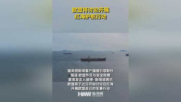 欧盟经济专员：需警惕红海袭击事件带来的经济影响